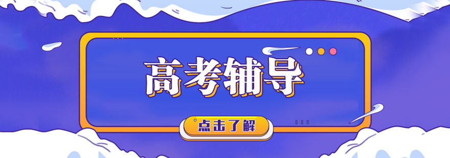 高考定制化辅导