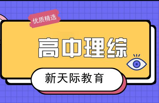 高中理综一对一同步课程