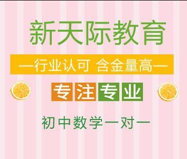 初中数学一对一课程