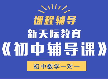 初中化学一对一个性化课程