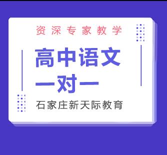 高中语文一对一精品课程