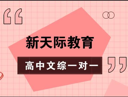 高中文综一对一课程