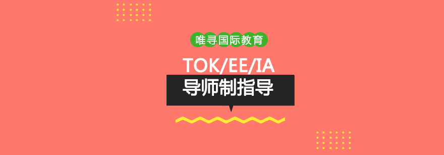 IB论文指导场景