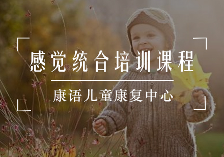 感觉统合培训课程