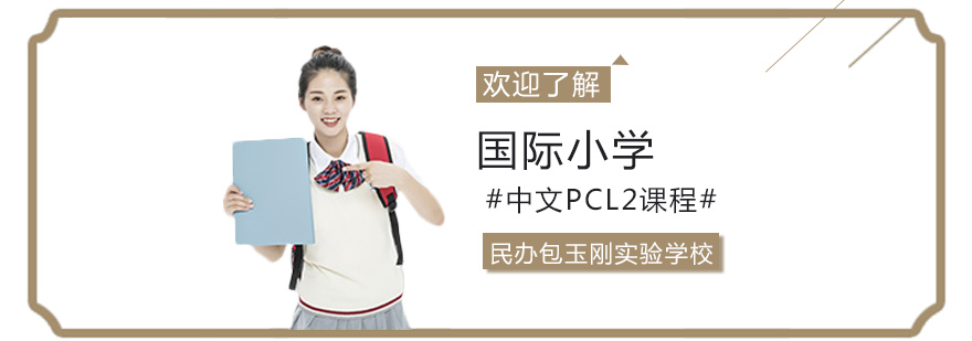 国际小学中文PCL2课程