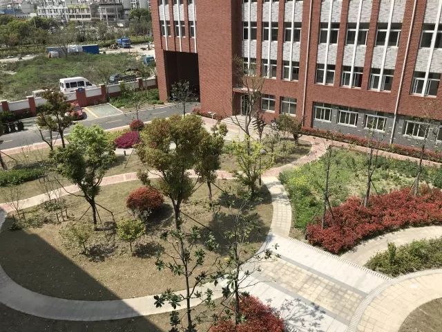校区的花园