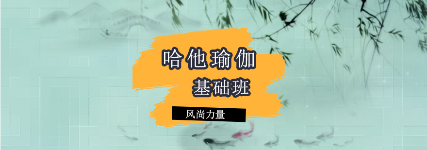 系统化瑜伽训练课程