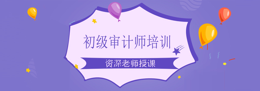 审计实务操作教学