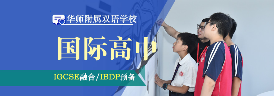 国际课程体系结构图