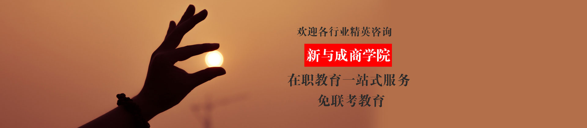 广州新与成国际教育