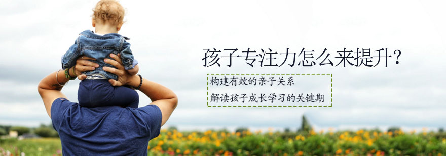 儿童专注力培养示意图