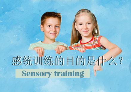 天津儿童感统训练课程深度解析