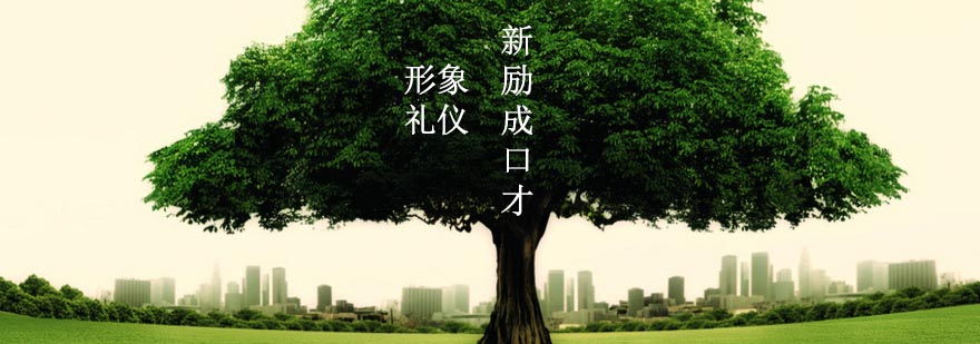 商务礼仪实训