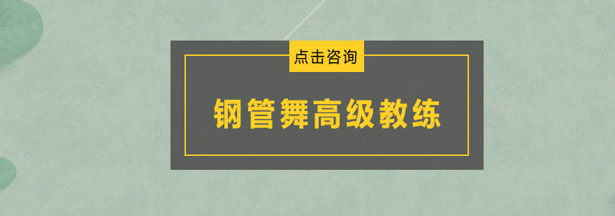 钢管舞教练培训实景