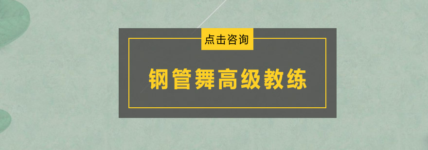 广州钢管舞高级教练培训班