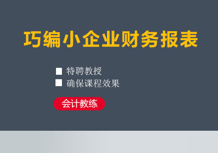 成都巧编小企业财务报表