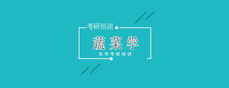 蔬菜学实验教学