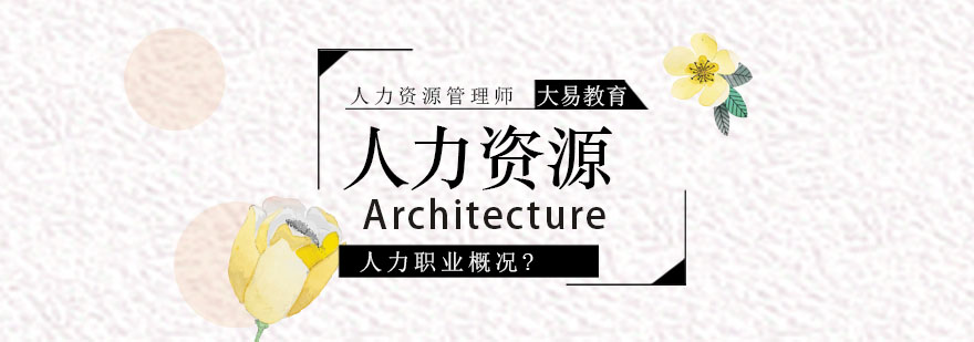 人力资源管理职业发展图示