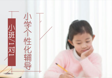 北京小学个性化辅导班