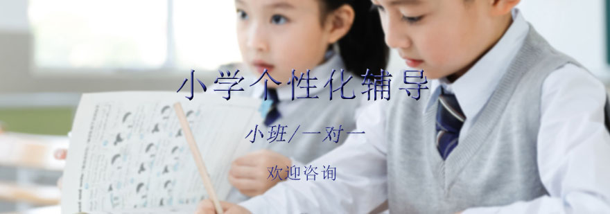 小学个性化辅导