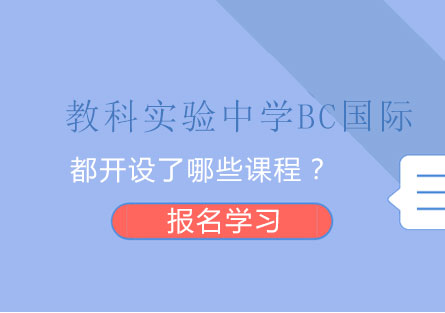 上海协和教科BC国际学校都开设了哪些课程？