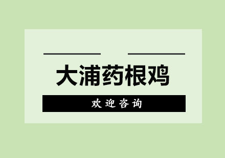 东莞大浦药根鸡培训班
