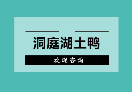 洞庭湖土鸭培训班