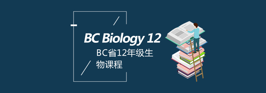 BC生物课程体系图解