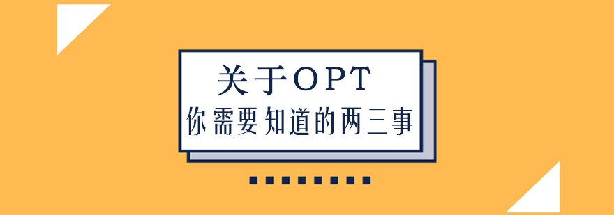 关于OPT你需要知道的两三事