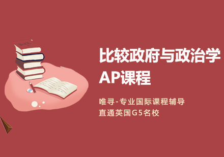 大连ap比较与政治学课程