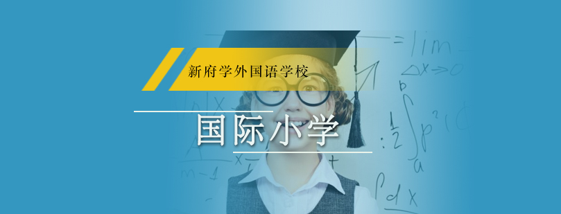 新府学课程体系