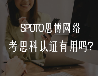 思科认证职业价值深度解读