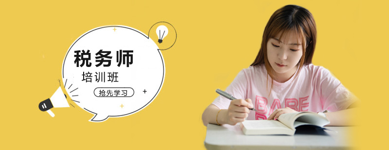 稅務(wù)師實務(wù)教學(xué)