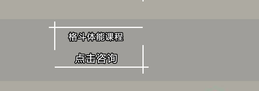 实战格斗训练