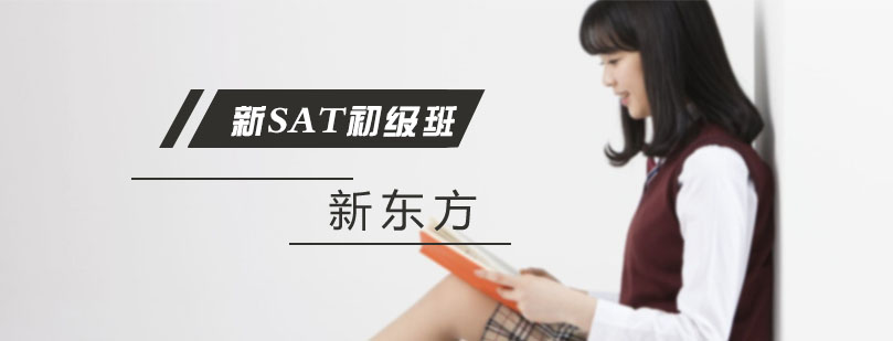 上海新SAT初级班