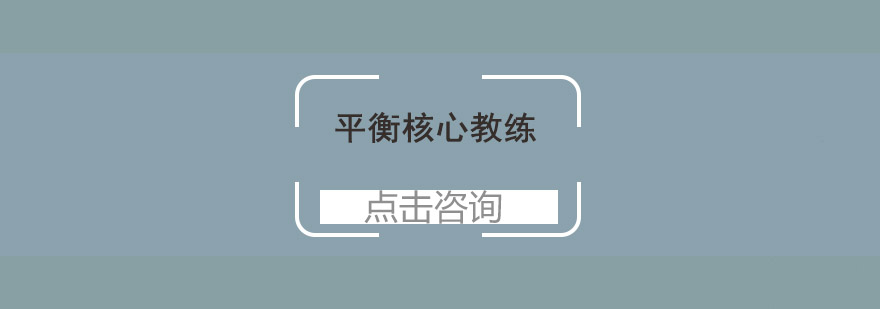 平衡核心训练演示
