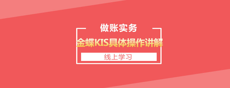 金蝶KIS系统操作界面