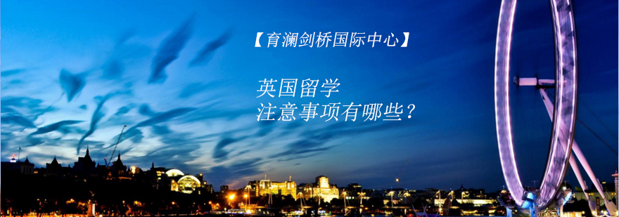 英国街景安全指引