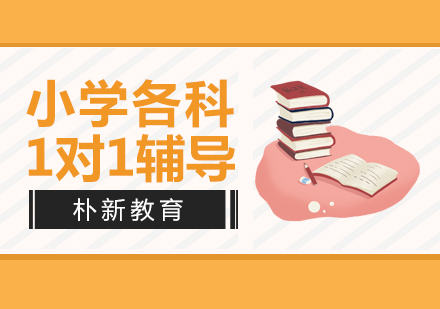 沈阳小学一对一辅导