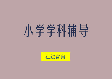 广州小学学科辅导培训班