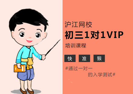 合肥初三1对1VIP培训课程