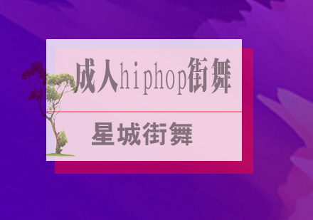 北京成人hiphop街舞培训