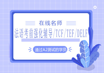 法语考前强化辅导/TCF/TEF/DELF