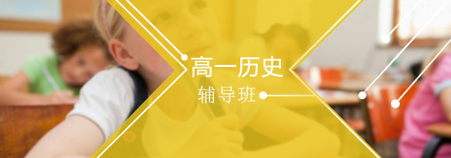高一历史个性化辅导方案