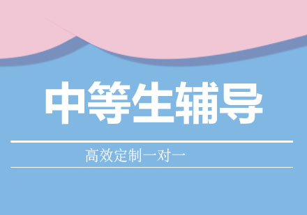 中等生名校突围实战指南