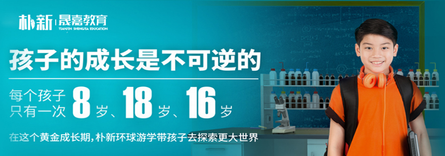高效学习方案图解