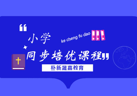 小学同步培优课程