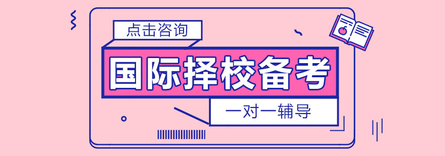 国际择校培训实景