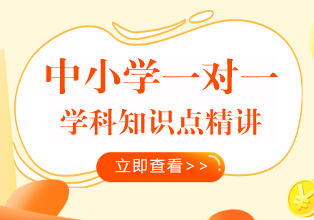 武汉中小学一对一辅导课程