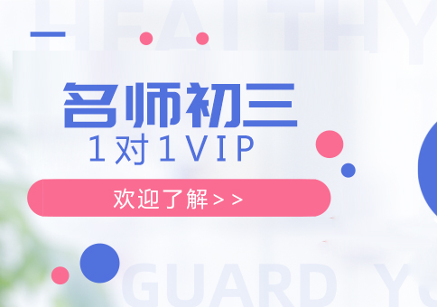 武汉初三1对1VIP培训课程